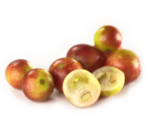 Superfood met enorme hoeveelheid vitamine C; camu camu bes