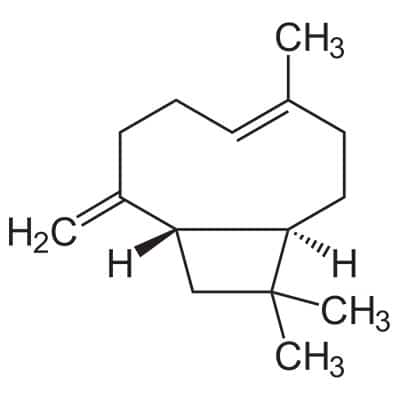 Bèta-caryofylleen