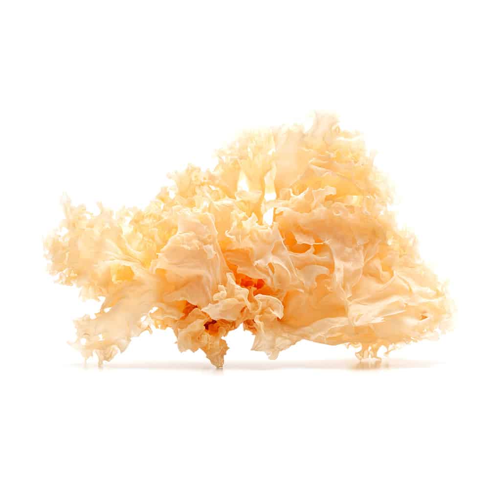 Organische Snow Fungus miniatuur