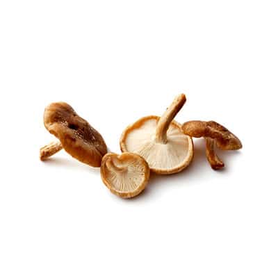 Shiitake
