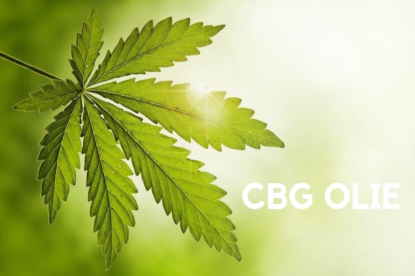 CBG olie uit de hennepplant