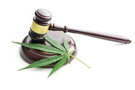Is cannabis legaal in Nederland
