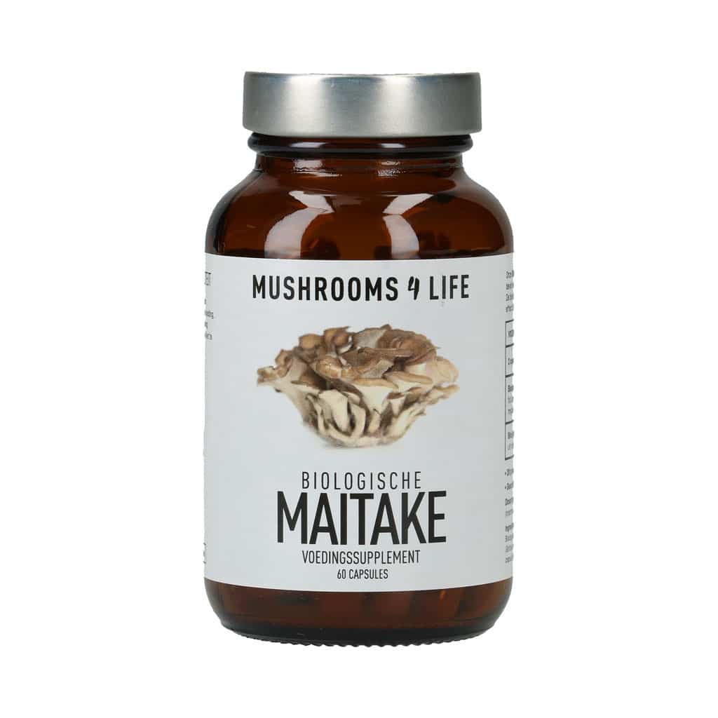 mushrooms4life maitake medicinale paddenstoel