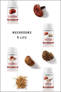 Mushrooms4Life capsules en levenscapsules met de woorden Mushrooms4Life - Biologische paddenstoel Reishi Spore Capsules (60 stuks).