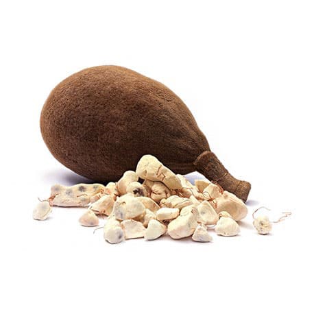 Baobab