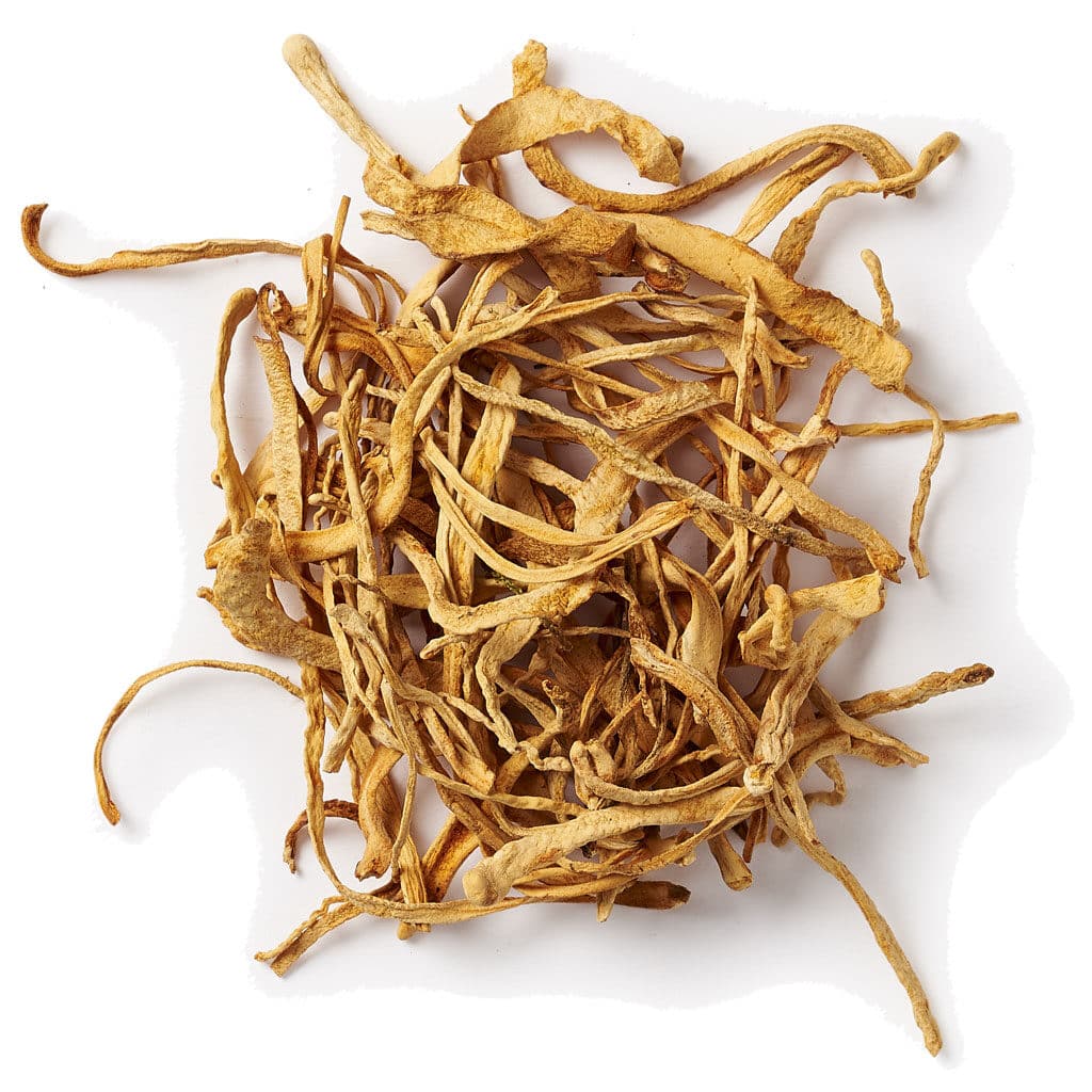 Cordyceps paddenstoel