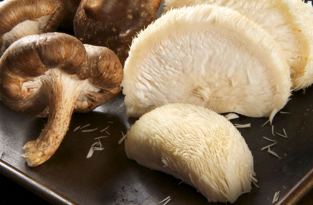 Mushrooms recepten