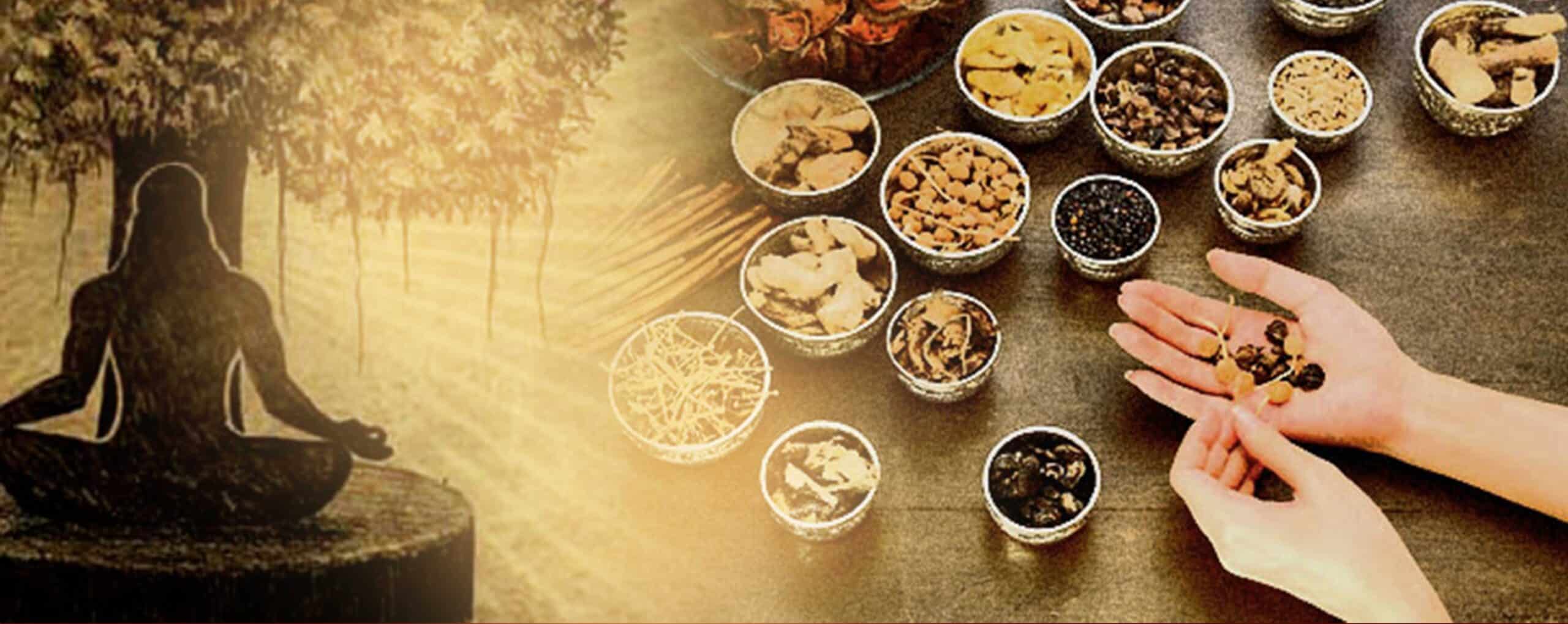 Ayurvedische-geneeswijze