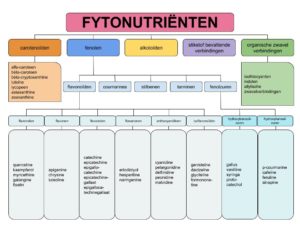 Bioactieve plantaardige stoffen