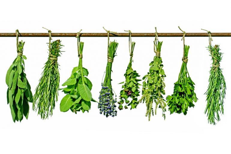 Fytotherapeutische supplementen