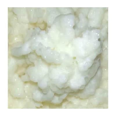 Kefir