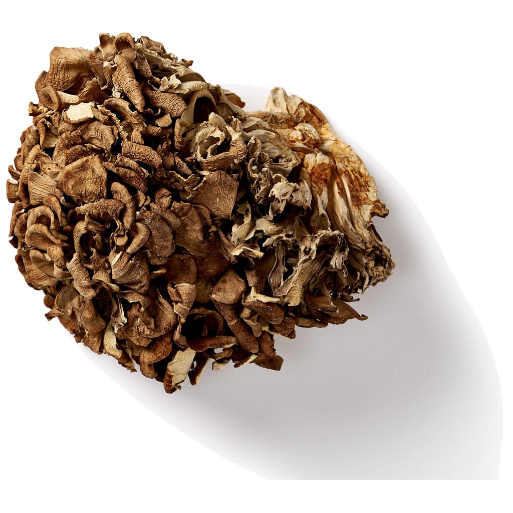 eikhaas maitake schimmel miniatuur