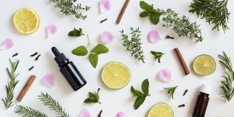 Bloemen, kruiden en fruit voor aroma therapie