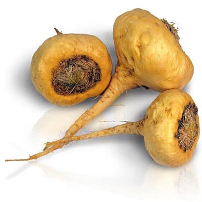 Maca