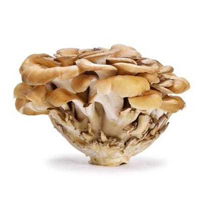 Maitake