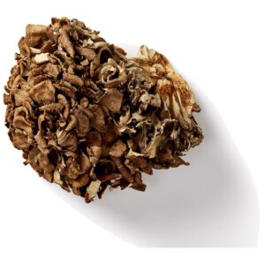 Maitake paddenstoel
